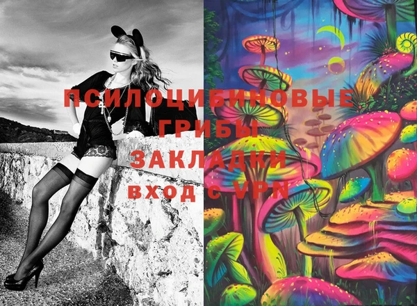 марки lsd Медногорск