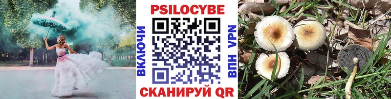 купить закладку Чишмы нарко площадка какой сайт Галлюциногенные грибы мухоморы